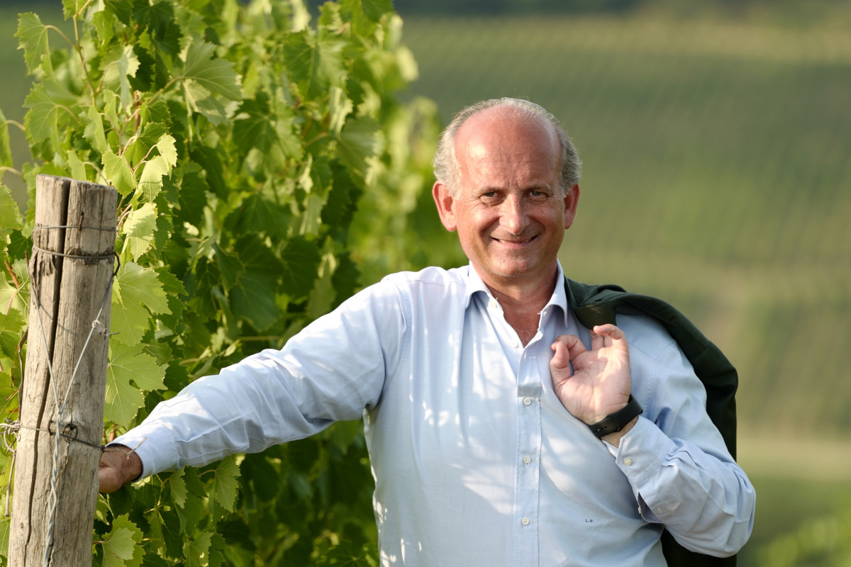 Vino: meno produzione, ma vendite ancora in calo. Il nodo resta il consumatore