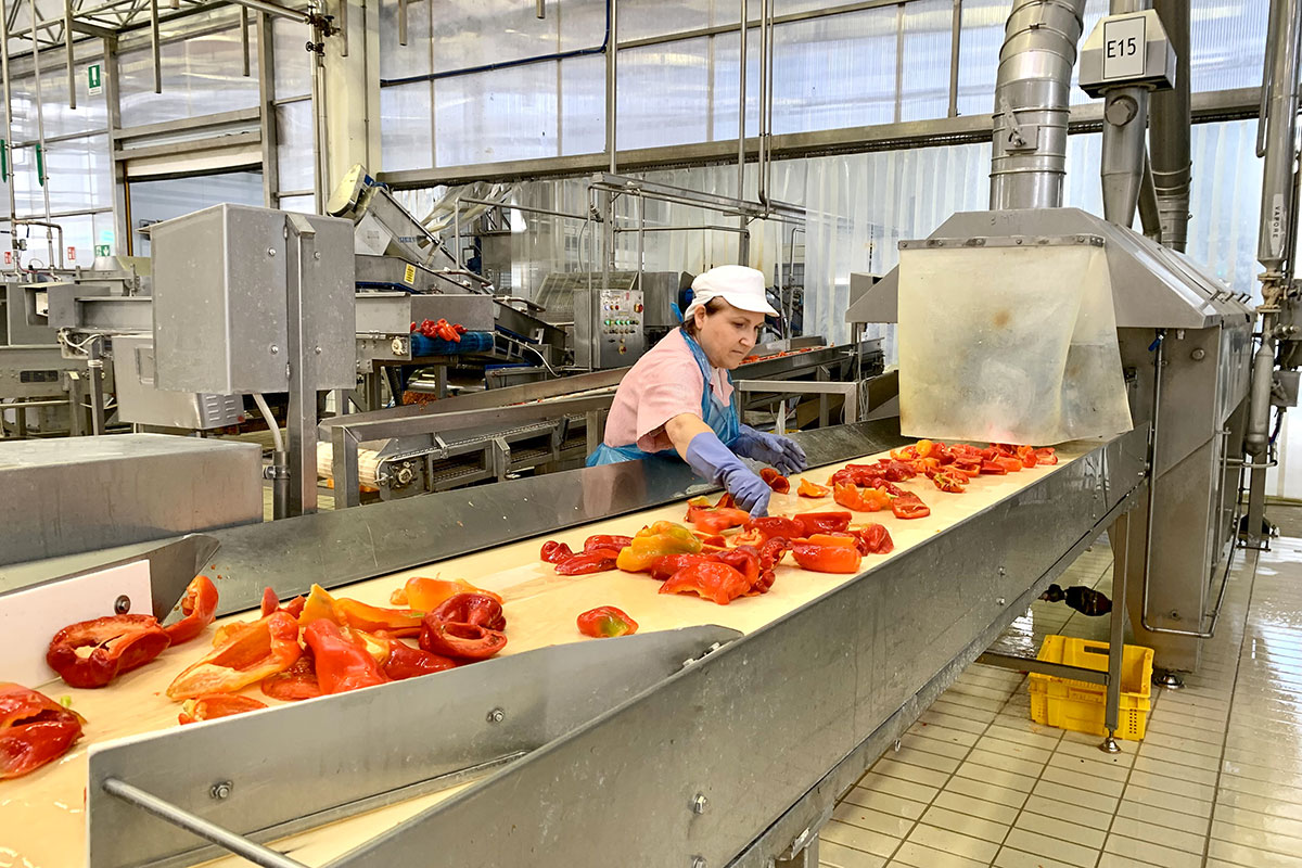 Menù, una grande cucina al servizio di tutto il settore Horeca