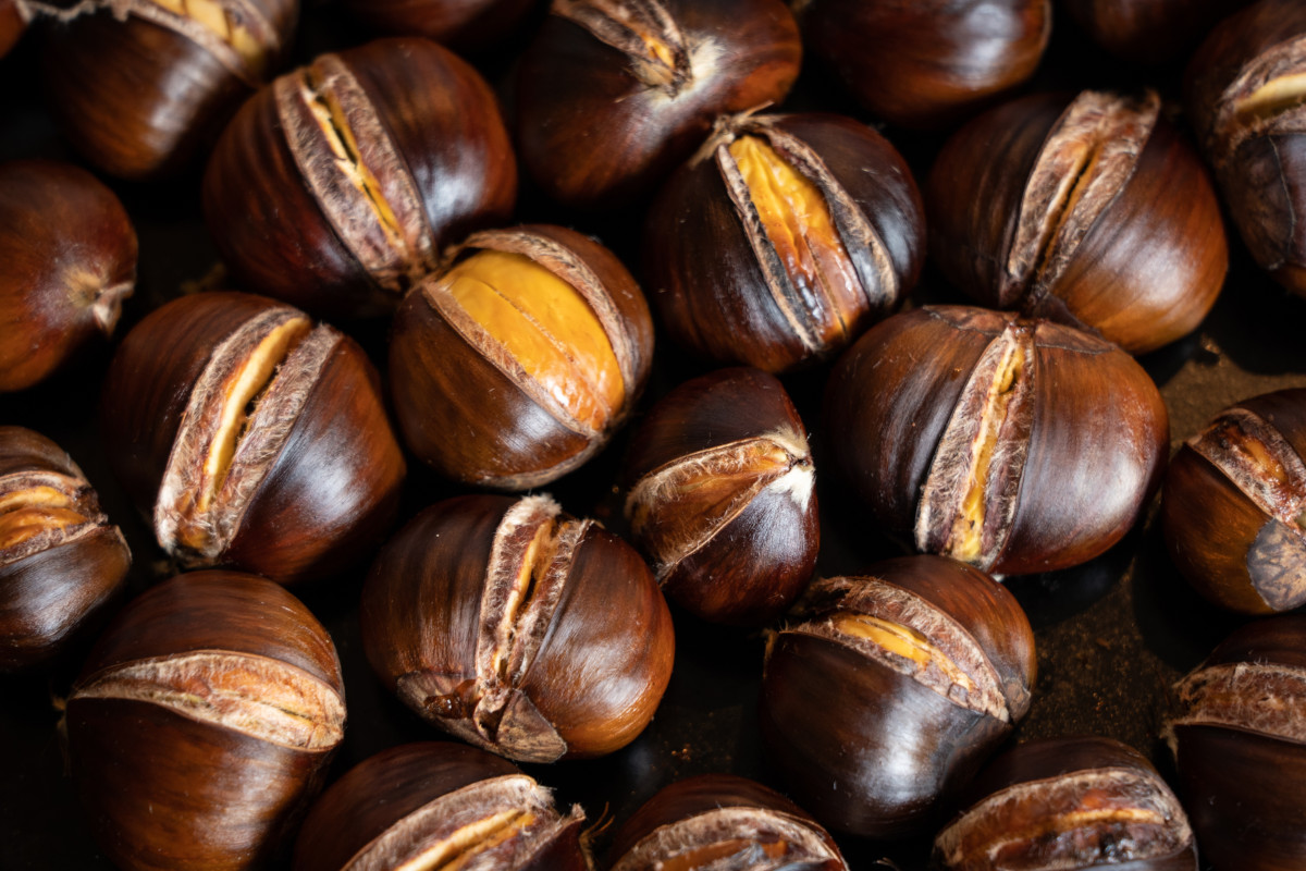 Castagne: l'energia d'autunno che fa bene a intestino, ossa e muscoli