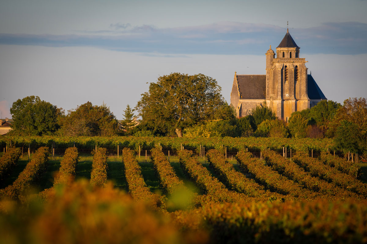 Alla scoperta del Cognac: il distillato nobile dimenticato dai barman moderni