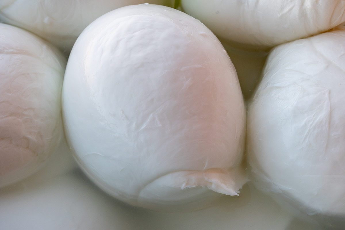 Mozzarella di Gioia del Colle Dop