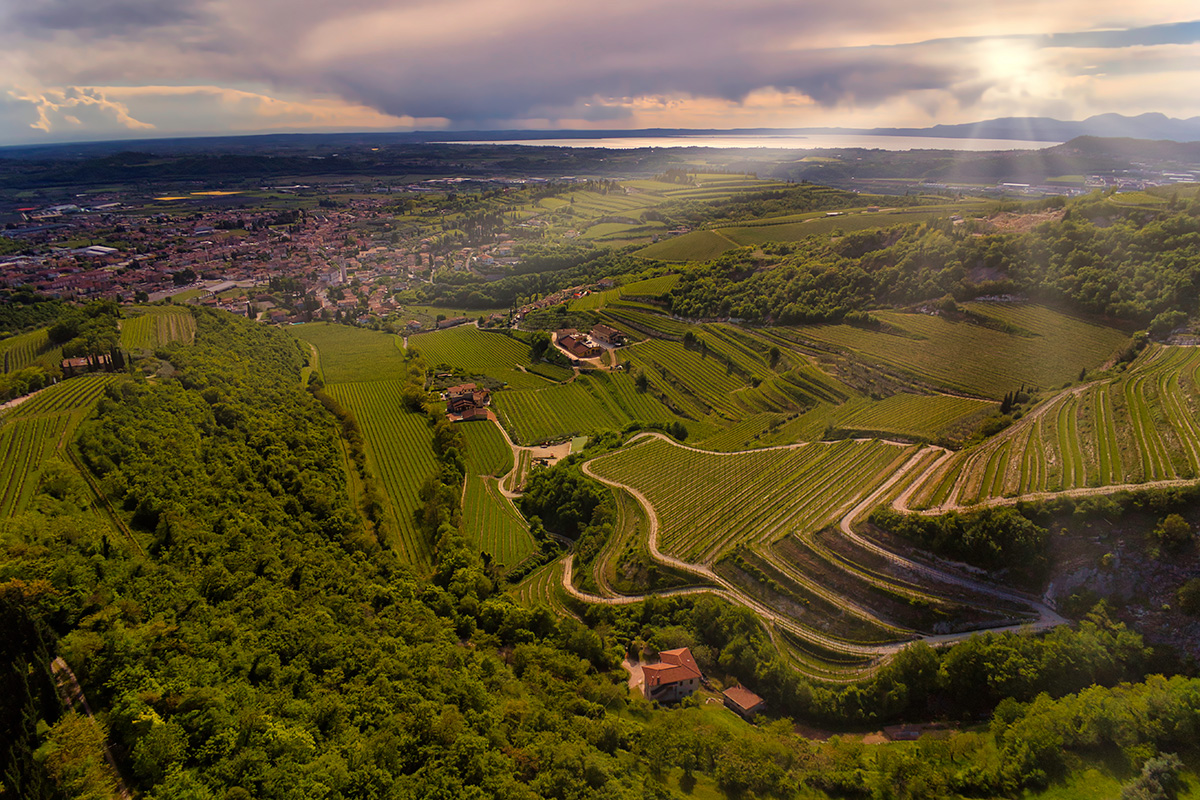 £$L’Italia del vino$£: tre grandi rossi veronesi a base di Corvina £$L’Italia del vino$£: tre grandi rossi veronesi a base di Corvina
