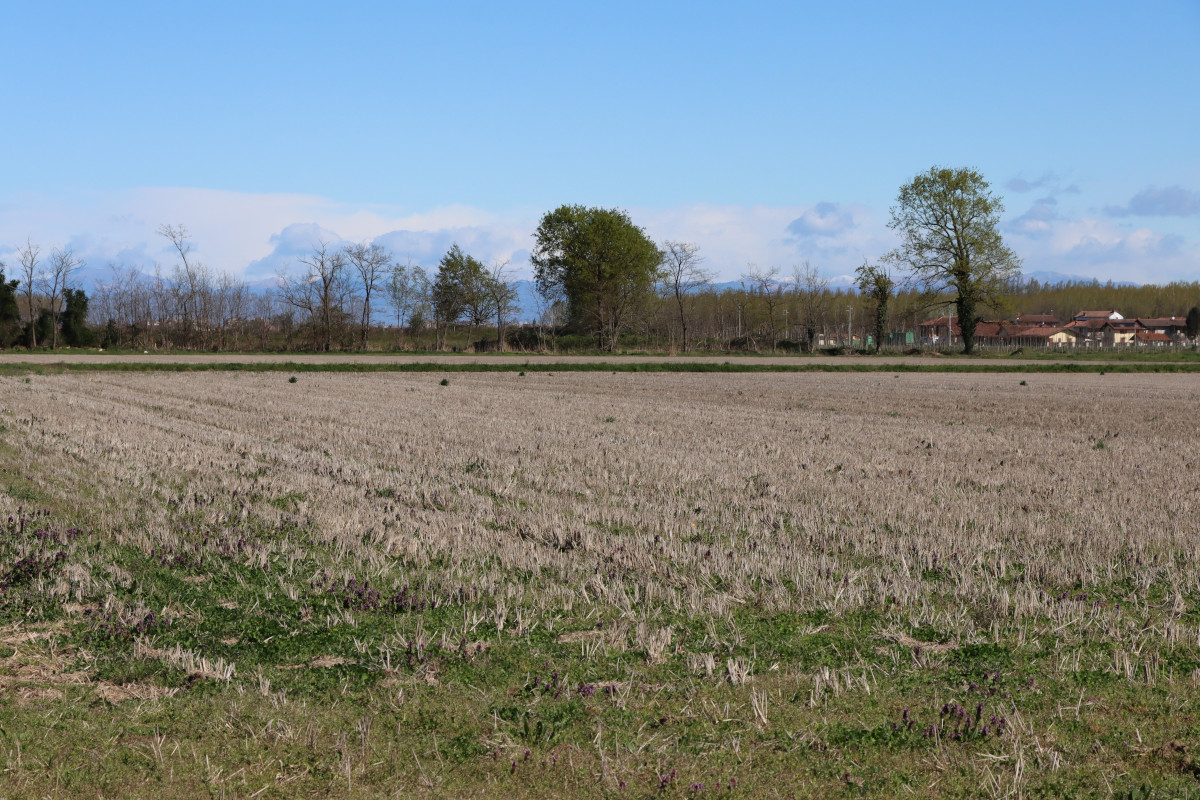 Siccità, alluvioni e caldo record: risarcimenti oltre 6 milioni per il meteo pazzo