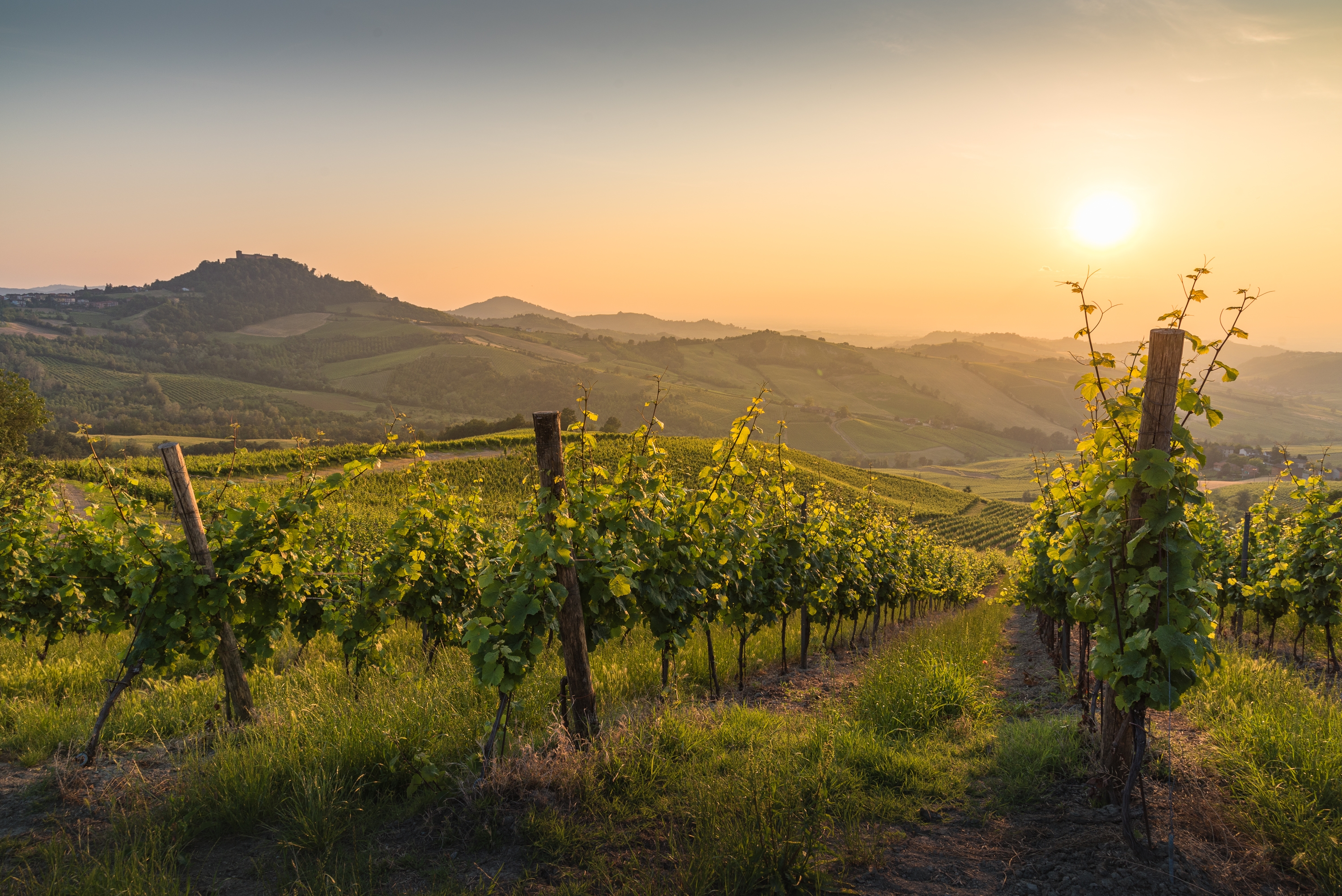 Durante la crociera saranno organizzate degustazione a tema dei vini dell'Oltrepò Pavese 