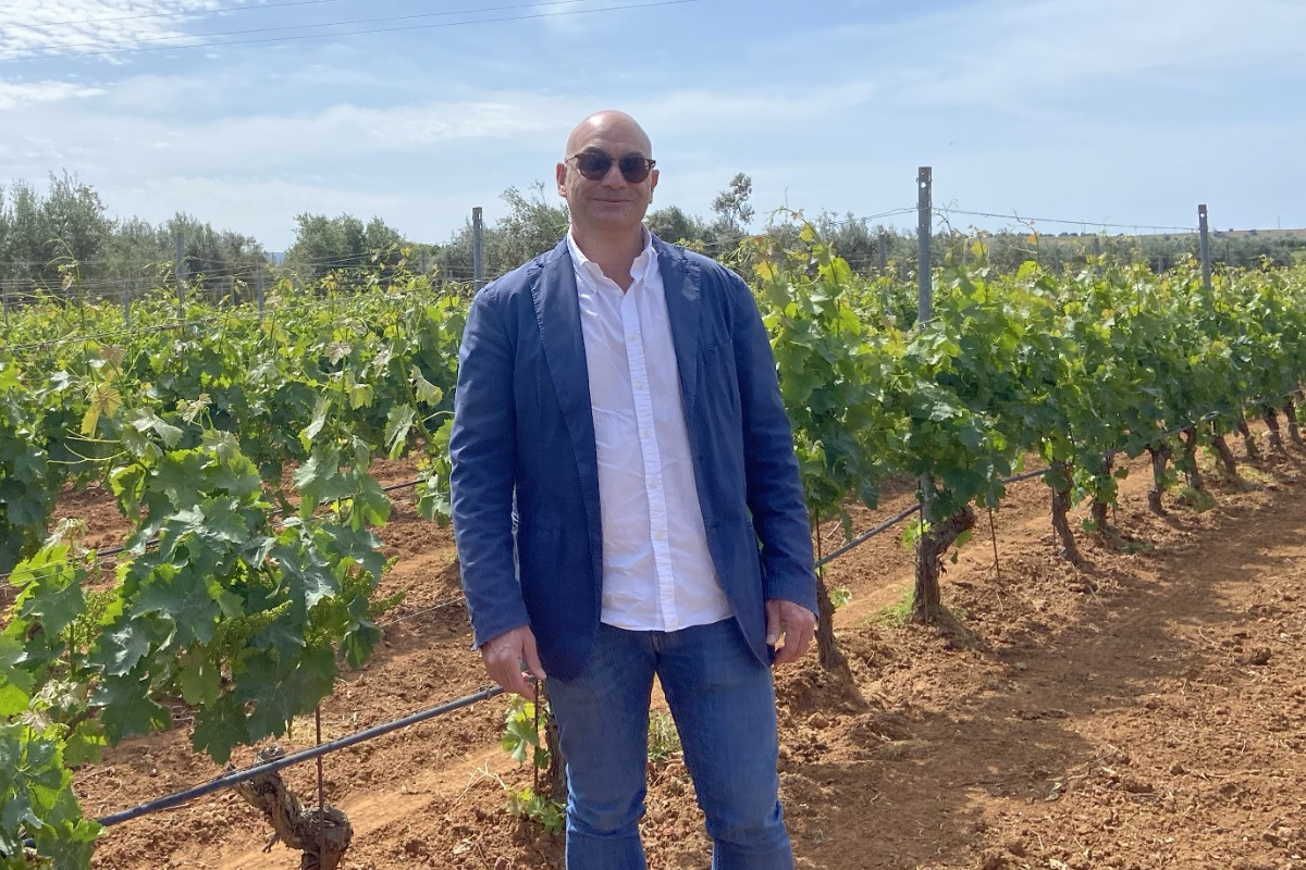 Terreni, vitigni e stile: così il sud-est della Sicilia riscrive i vini rossi