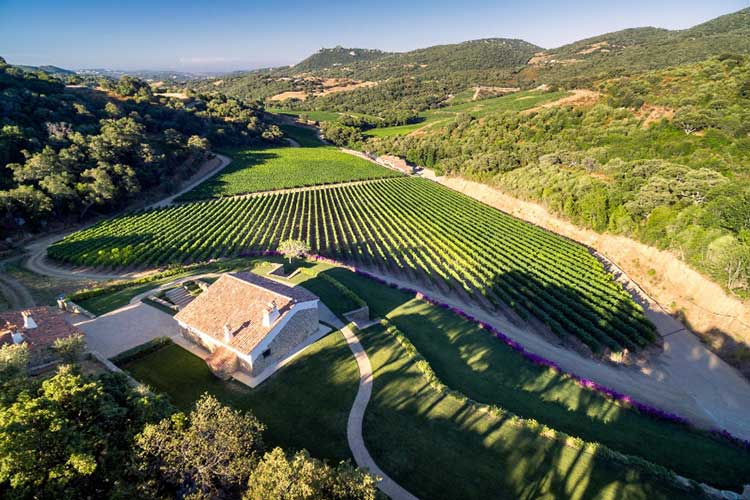 Ci si aspetta una vendemmia di altissima qualità