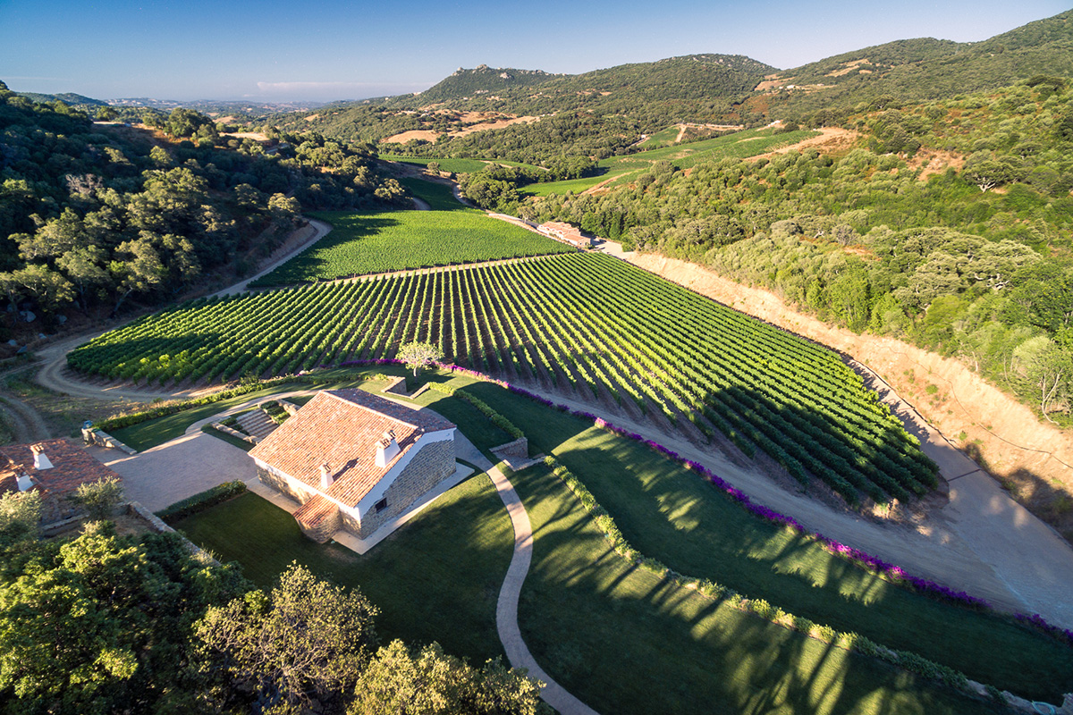 Vino: Siddùra amplia i terreni e la cantina