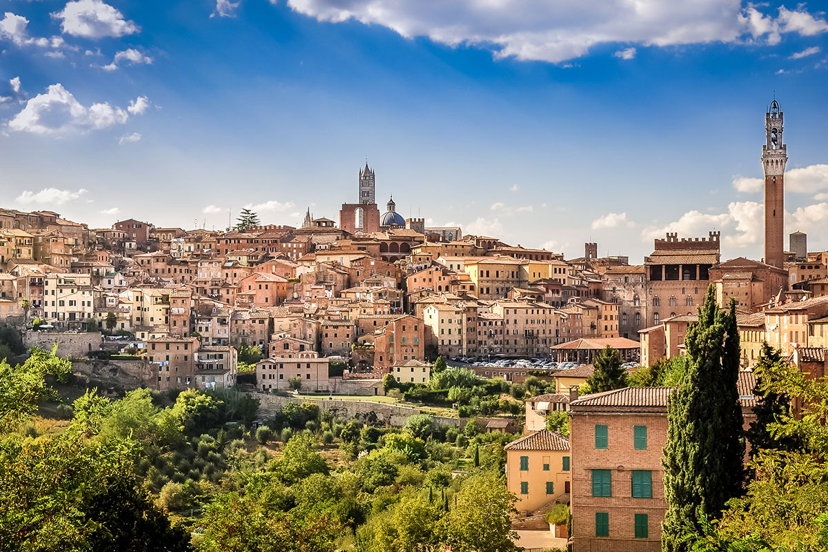 Il profilo di Siena Le vigne urbane si incontrano a Siena per rilanciare il vino di città