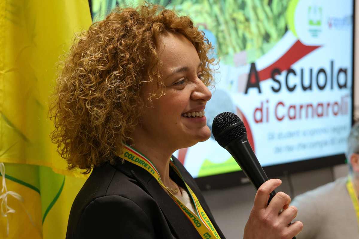 Riso, arriva la deroga: gli agricoltori pavesi potranno usare le sementi 2024