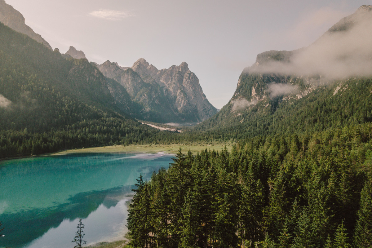 A contatto con il bosco: i migliori hotel d'Italia per una vacanza tra gli alberi