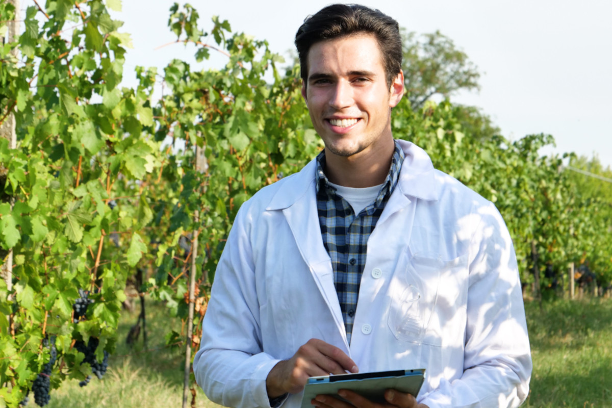 Le aziende vitivinicole italiane sono ancora poco capaci di raccogliere dati e successivamente a utilizzarli Software e mondo digitale un'opportunità per cantine e ristoratori