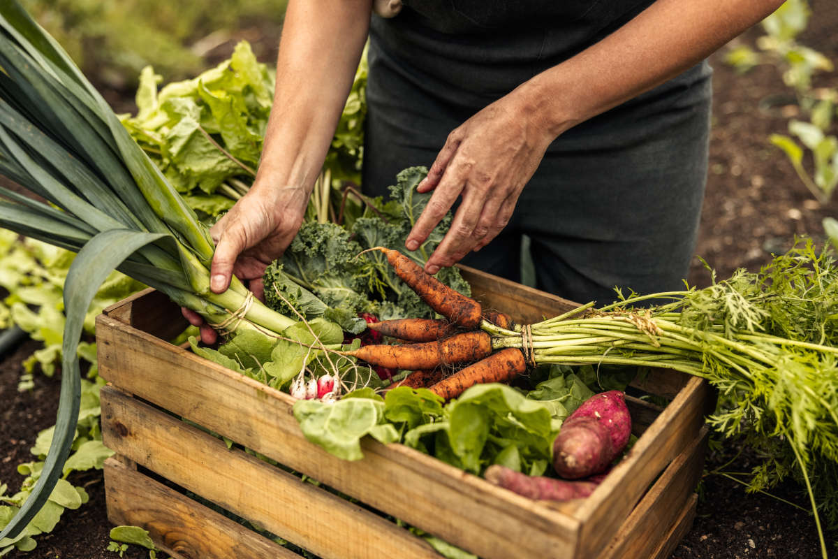 Il futuro sostenibile della ristorazione e della filiera agroalimentare