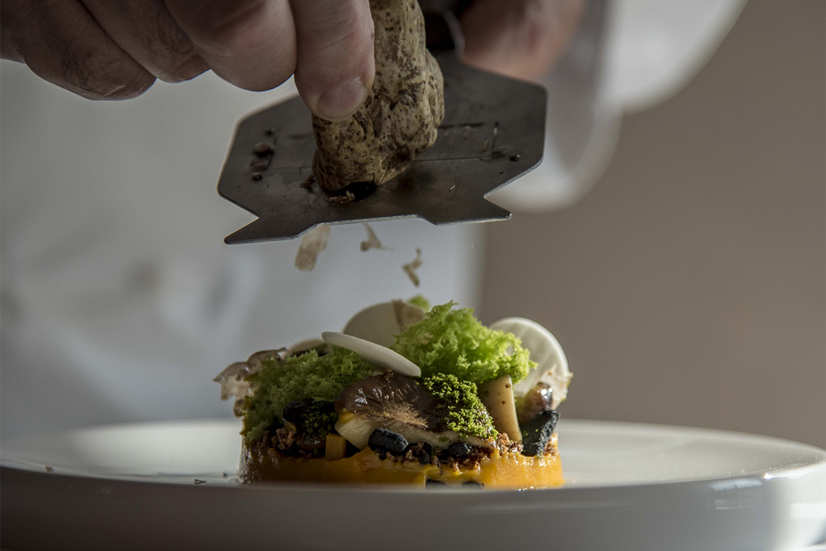 Sottobosco Sottobosco