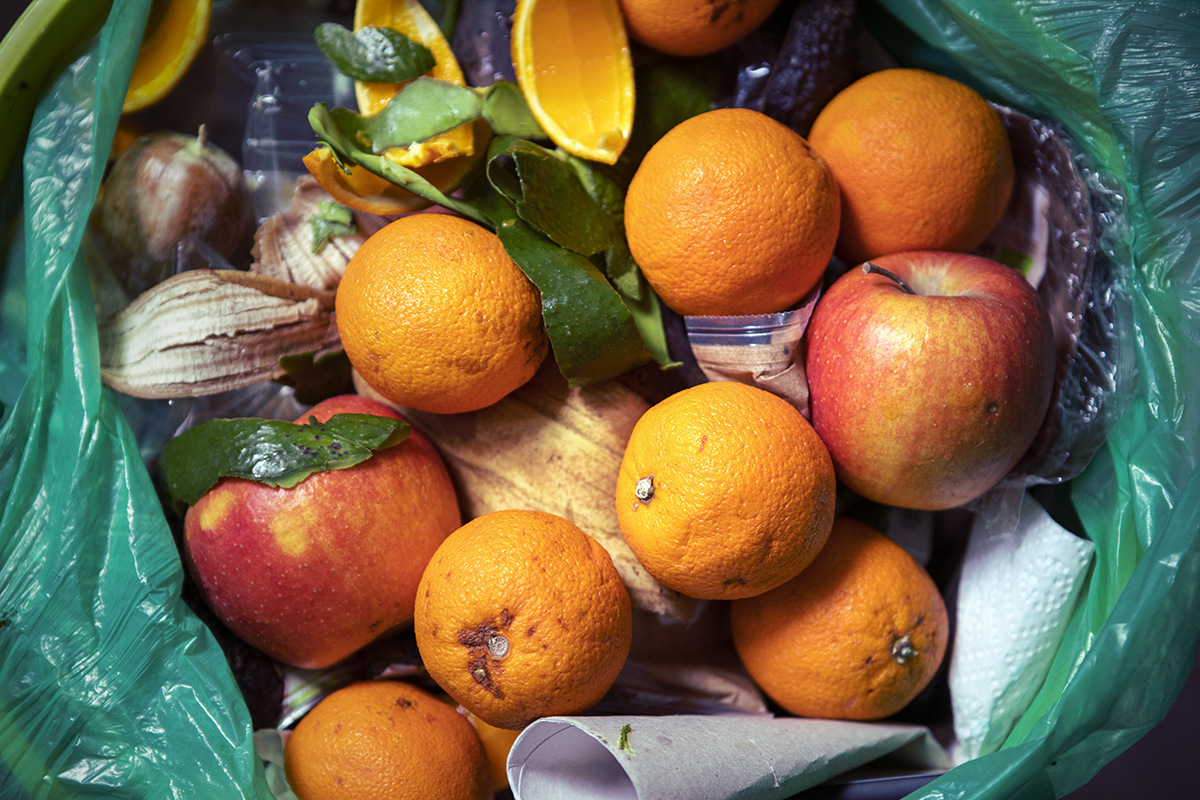 Urge fare una spesa accorta per evitare di buttare il cibo Spreco alimentare: Italia, Paese virtuoso