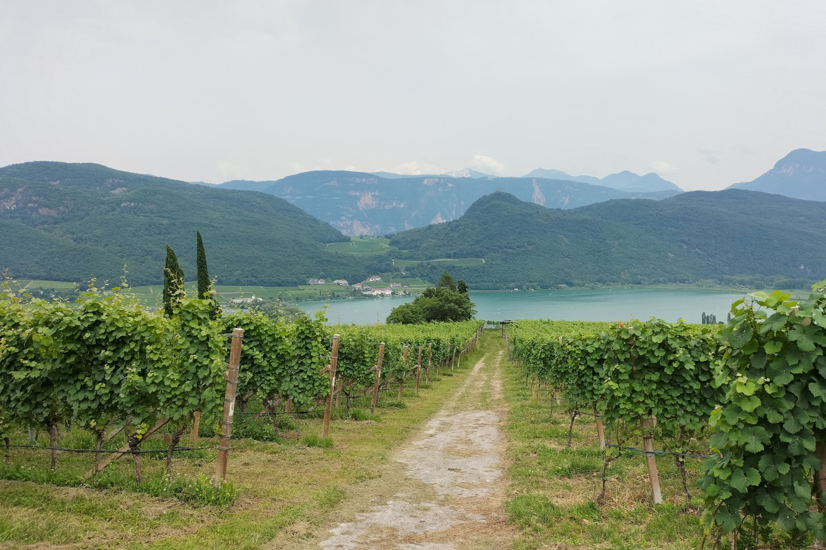 Un viaggio tra storia e sapori sulla Strada del Vino dell'Alto Adige