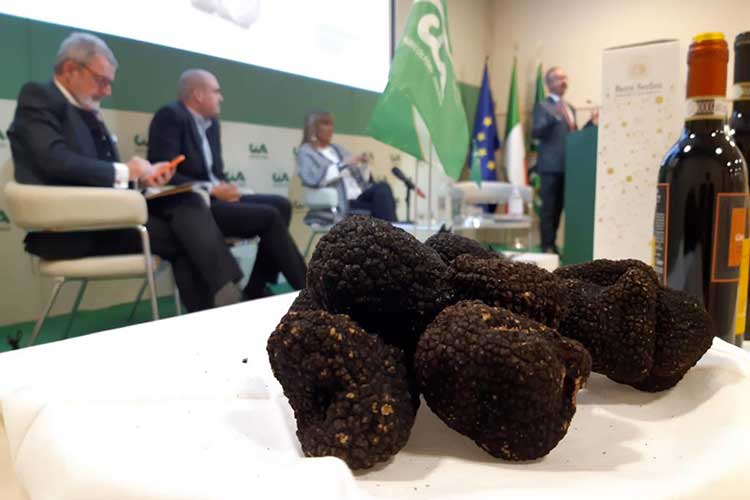 Il tartufo protagonista dell'Anteprima 2021 Tartufo bianco, pepite da valorizzare all'estero per favorire anche il turismo