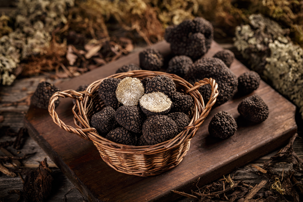 Incontri e degustazioni di tartufo in sette borghi delle Marche