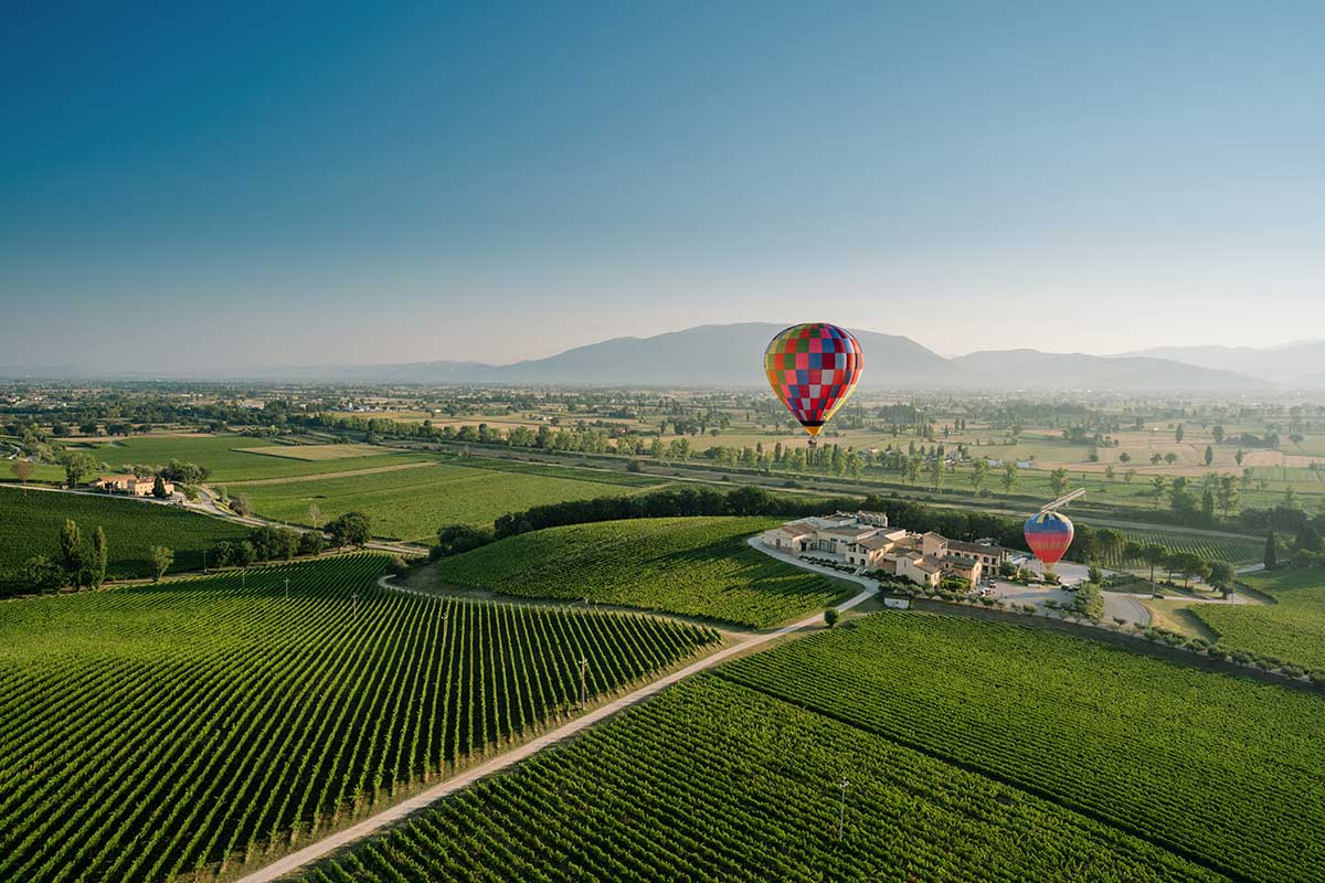 La tenuta della cantina Arnaldo Caprai La cantina Arnaldo Caprai compie 50 all'insegna della riscoperta del Sagrantino