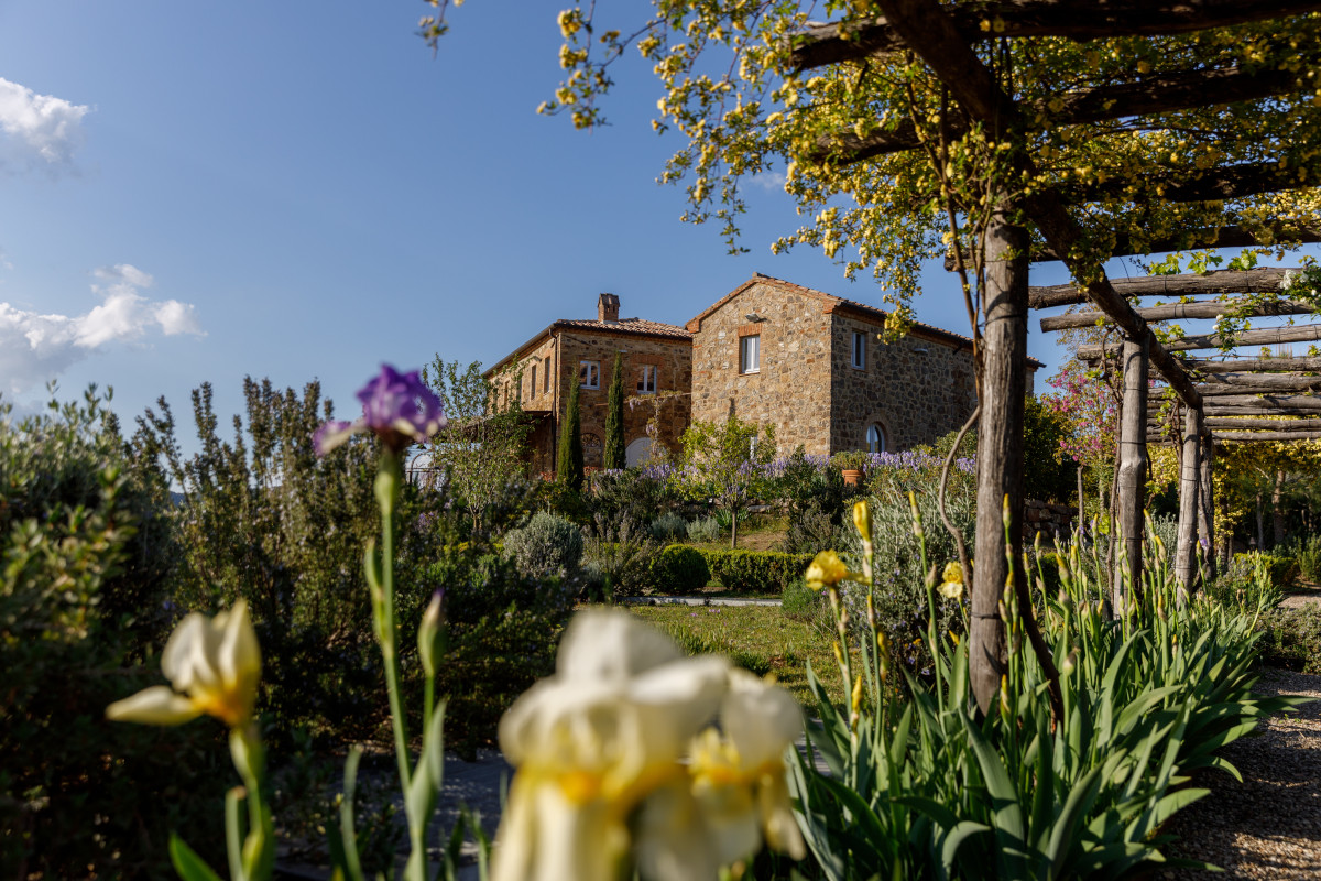 Tenuta Luce: una storia di audacia e di passione per il vino a Montalcino