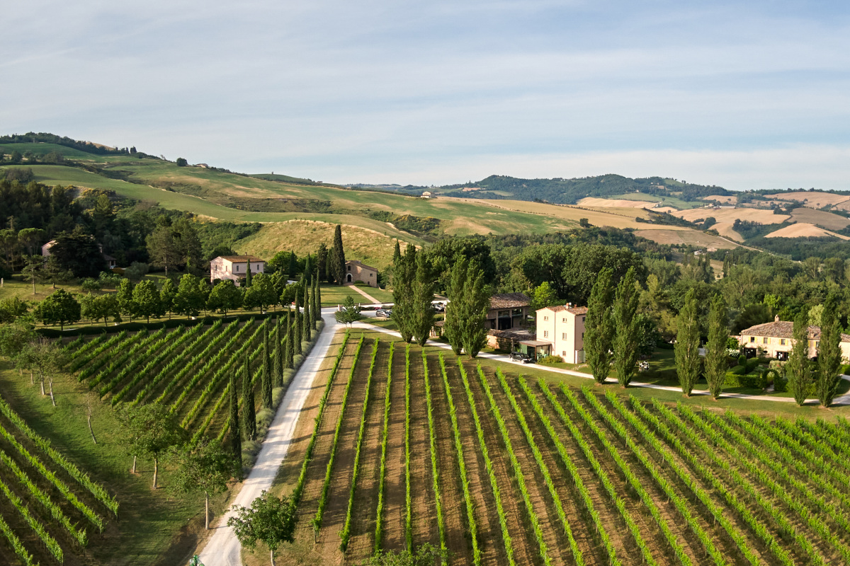 Tenuta Santi Giacomo e Filippo: degustazioni e relax nelle Marche