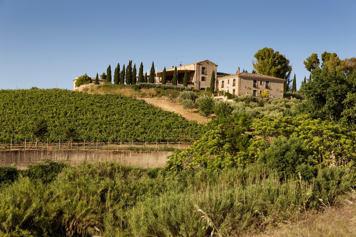 Eventi e degustazioni: immergiti nel mondo del vino siciliano a Gigliotto