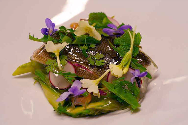 Tinca in gelatina La tinca di Ceresole d&rsquo;Alba Antico pesce del territorio