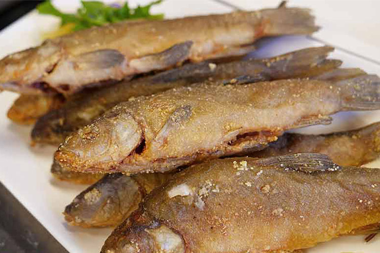 Tinche fritte La tinca di Ceresole d&rsquo;Alba Antico pesce del territorio