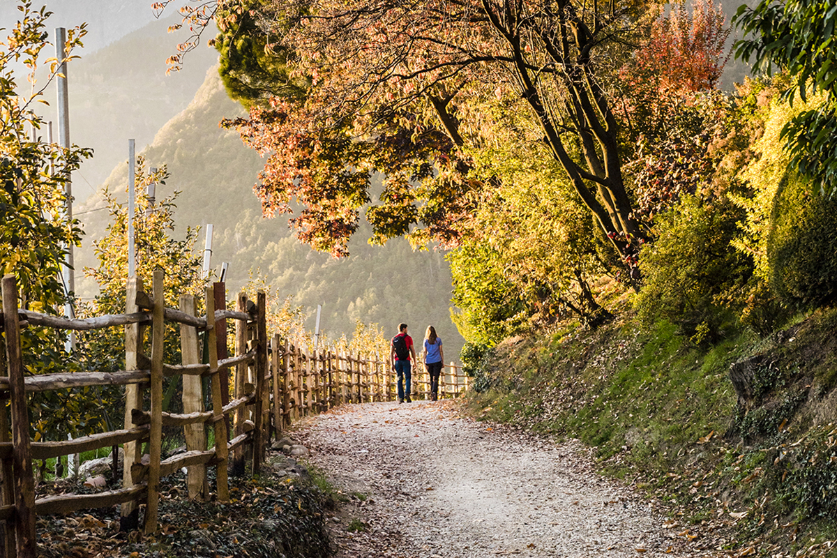 Foto: Hannes Niederkofler Passeggiate nei meleti e nei vigneti e tappa ai masi: ecco Il Törggelen a Tirolo