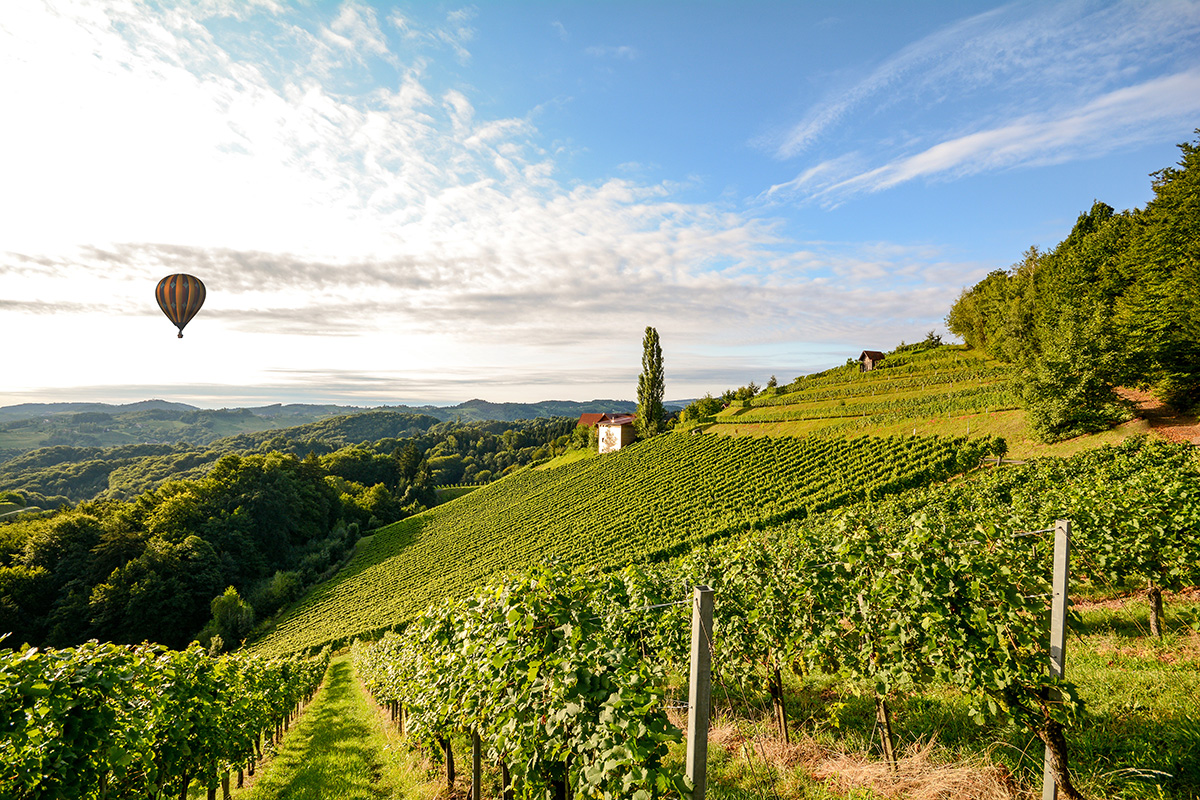 Le sfide  di Ais Toscana: “Apertura al territorio, condivisione e formazione continua”