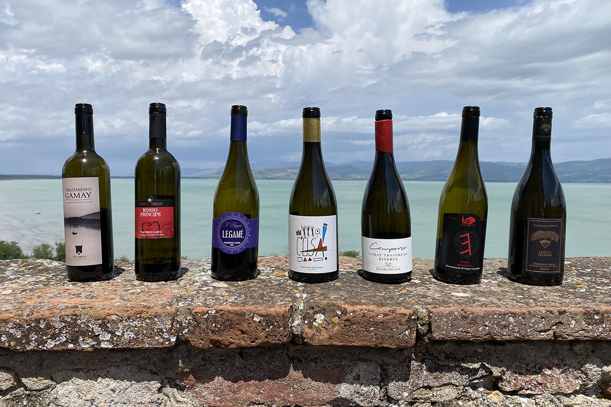 I vini della Doc Colli del Trasimeno Montefalco, Colli del Trasimeno e Torgiano: i vini emblema dell’Umbria