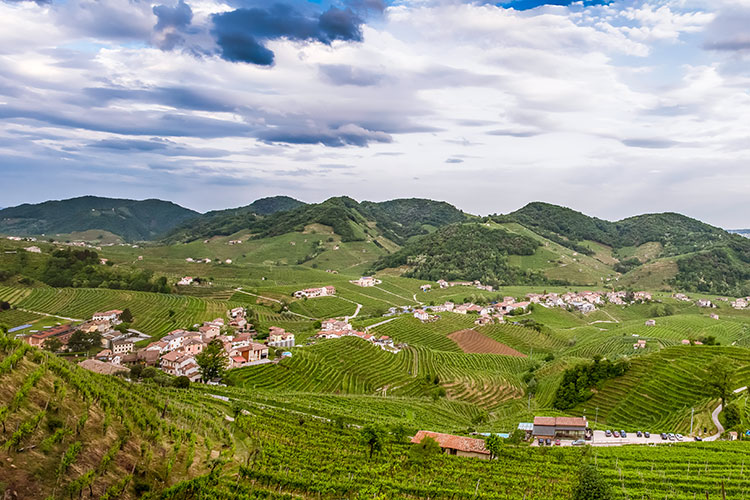 Momento di cambiamenti epocali per il Prosecco (Troppo Prosecco o nome di troppo? Una bolla a rischio di scoppio)
