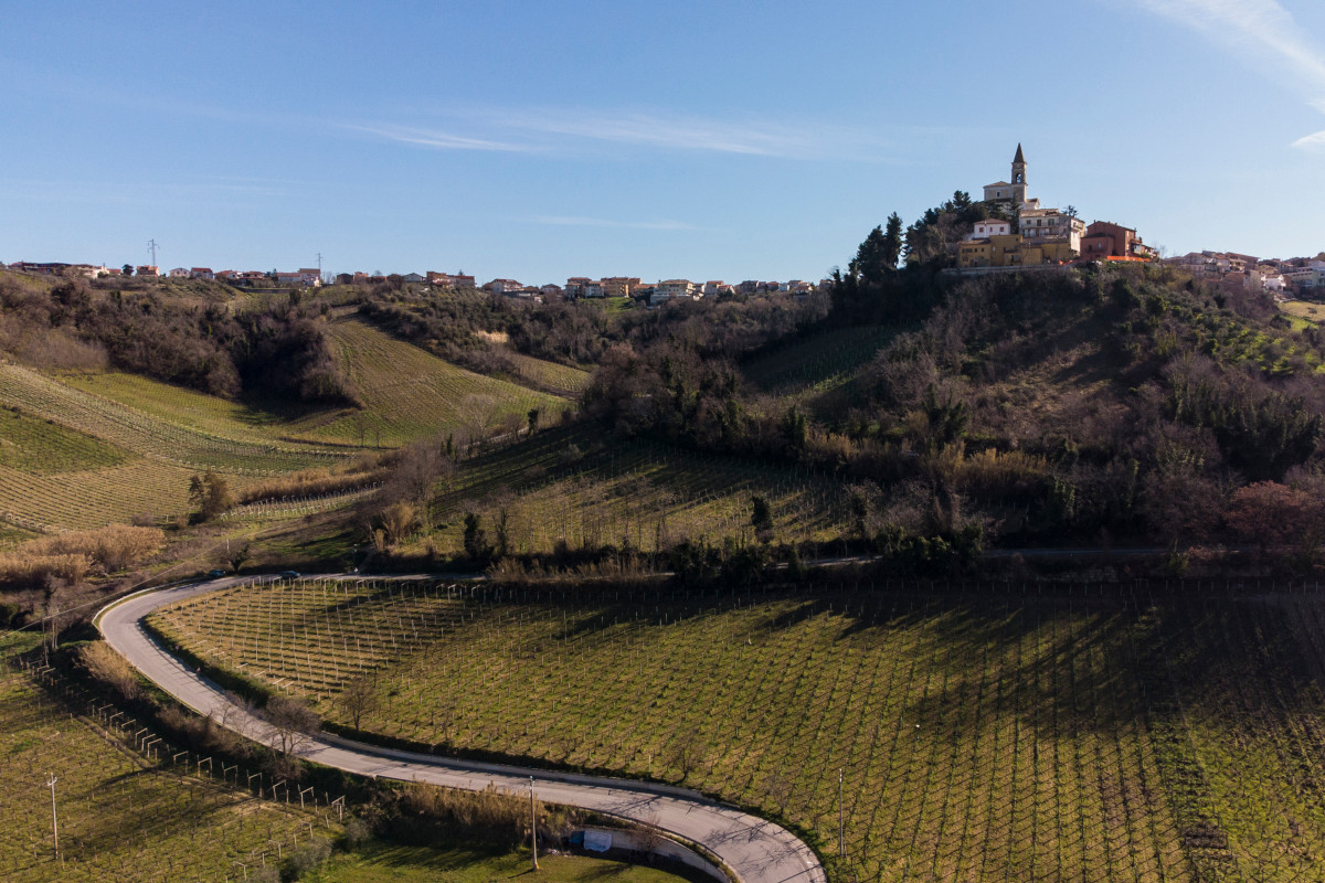 Il Tullum, una piccolissima Docg che nasconde antiche testimonianze