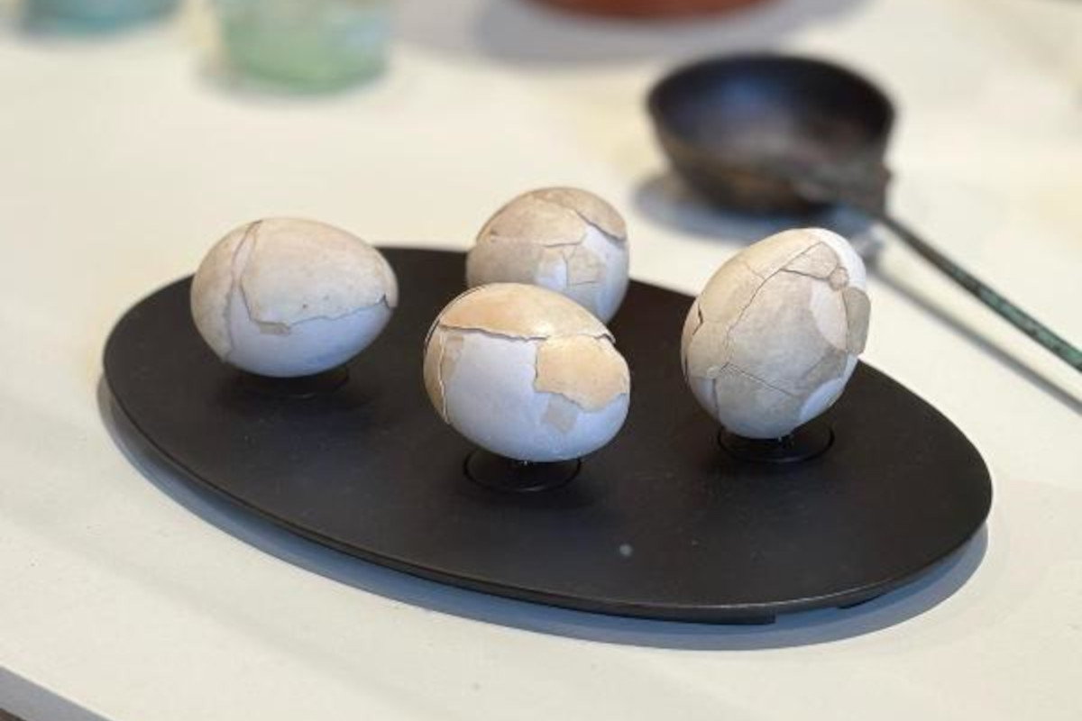 Dall'uovo alle mele: la mostra sul cibo nell'antica Ercolano a Villa Campolieto