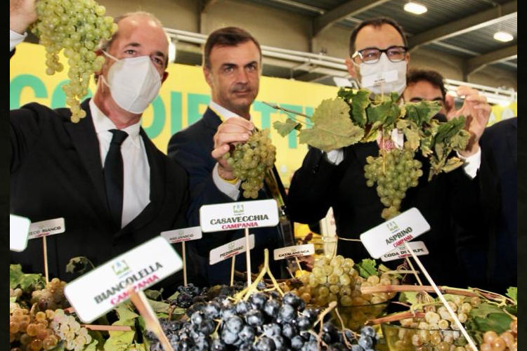 Zaia, Prandini e Patuanelli allo stand Coldiretti [Vinitaly], Verona resta la capitale del vino e si guarda alla ripresa grazie ai vaccini