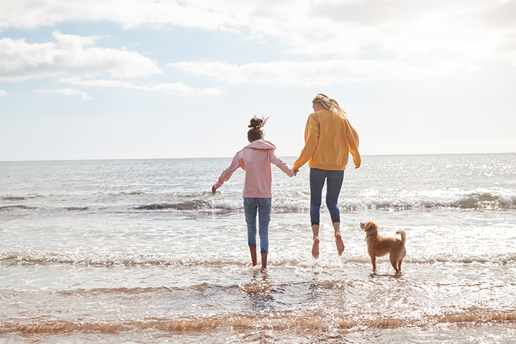 Nasce la prima agenzia di viaggi italiana per chi ha il cane In viaggio con il cane? Facile con l'agenzia di viaggi ad hoc