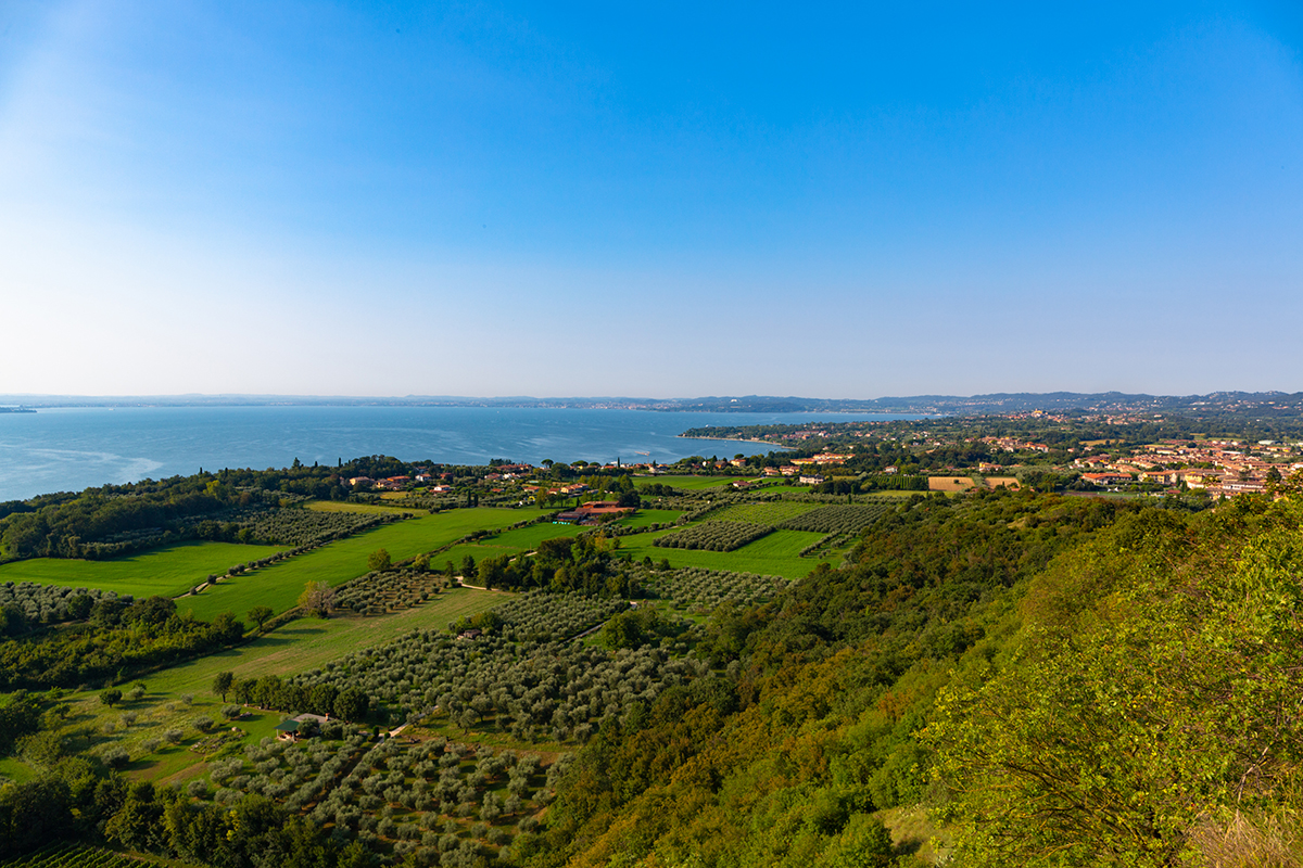 I vigneti della Valtènesi Enoturista amante del lago? Partiamo alla scoperta dei vini del Garda bresciano