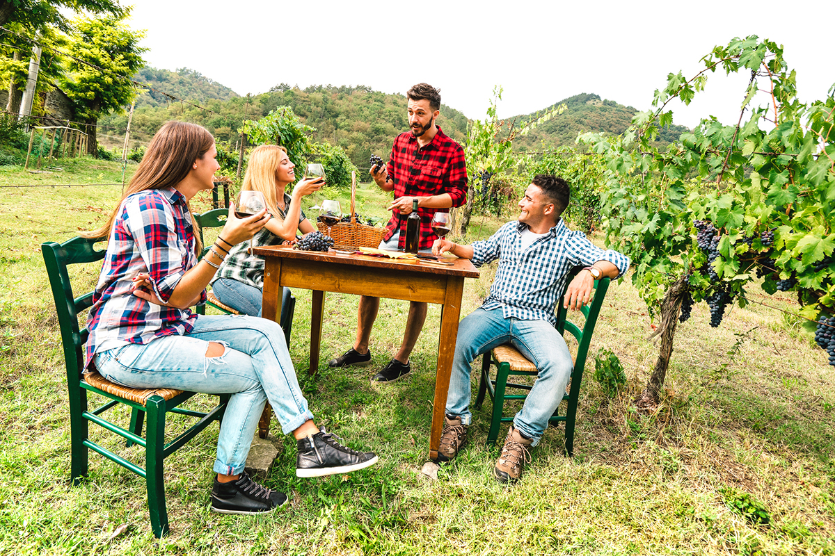 Molti in campagne dove è in pieno svolgimento la vendemmia Settembre caldo, boom di viaggiatori: sono 9 milioni