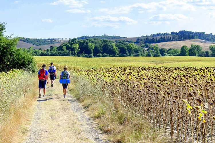 Pellegrini lungo la Via Francigena  Il turismo religioso vale 18 miliardi ma in Italia serve un salto di qualità