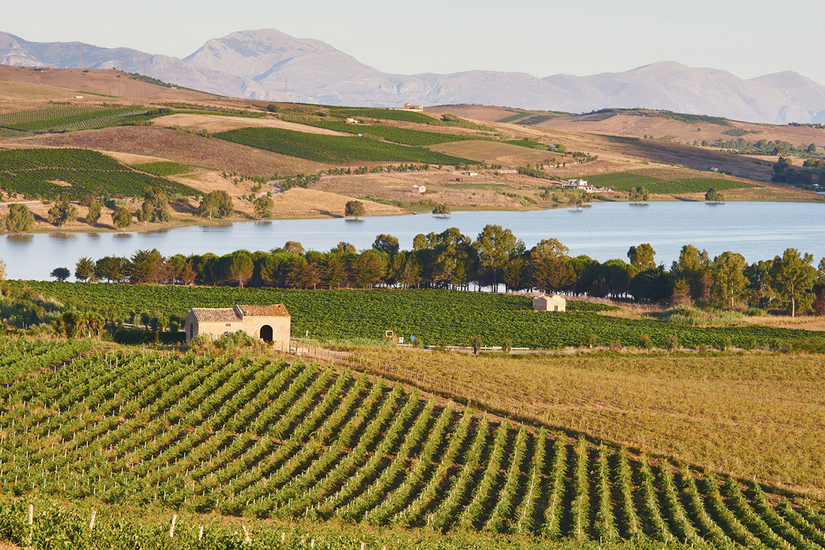 L'enoturismo è un asset formidabile per il Paese Come e quanto l’enoturismo incide sul ricavi delle cantine