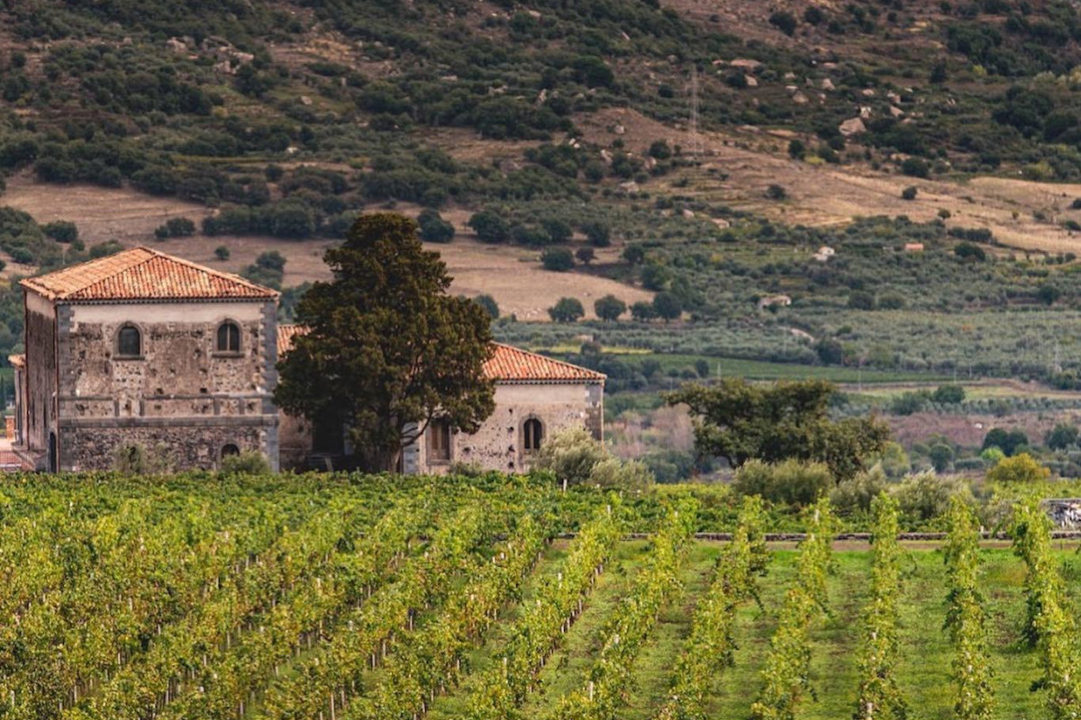 Nei vini i racconti austeri del vulcano