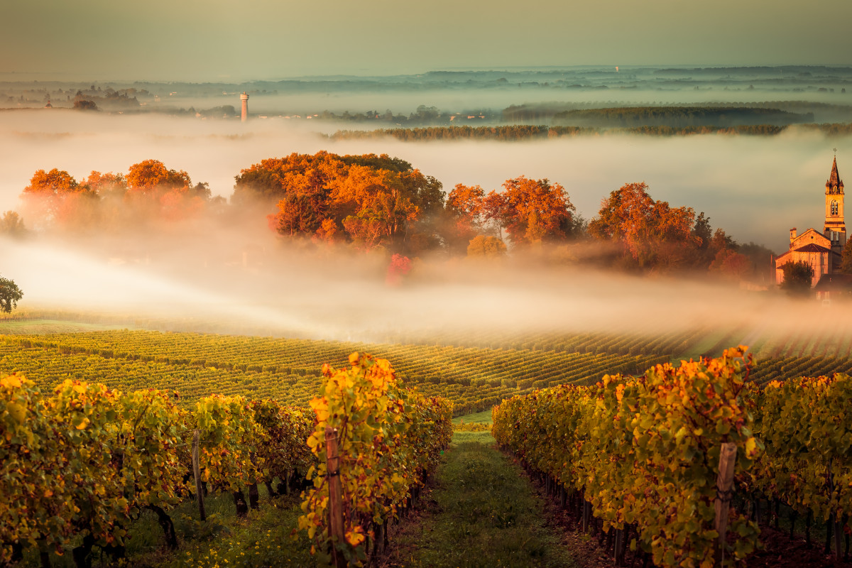 Da Londra ai vigneti di Bordeaux in treno Da Londra ai vigneti di Bordeaux in treno: nuova tratta nel 2026