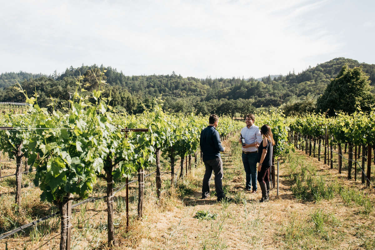 Vinitaly: l'enoturismo continua a crescere anche grazie agli acquisti in cantina