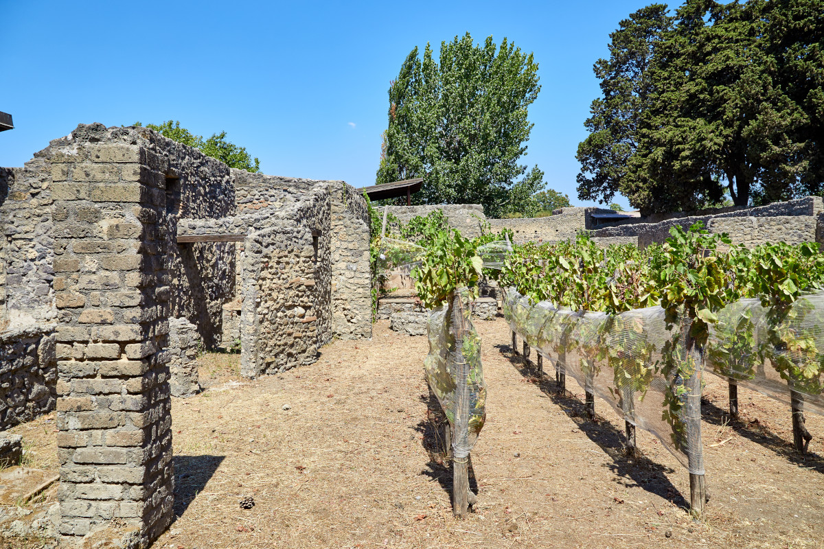 Campania Stories, pregi e difetti del vino dal Sannio al Cilento