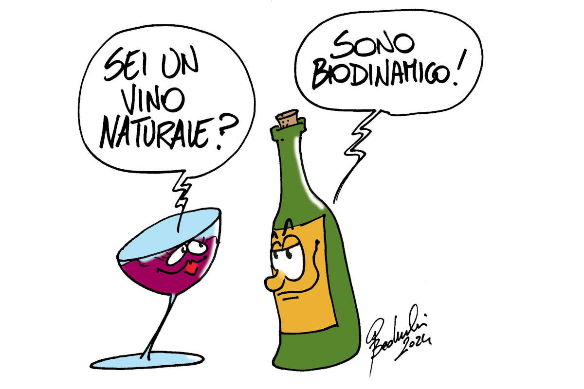 Il fascino dei vini naturali nell'alta ristorazione