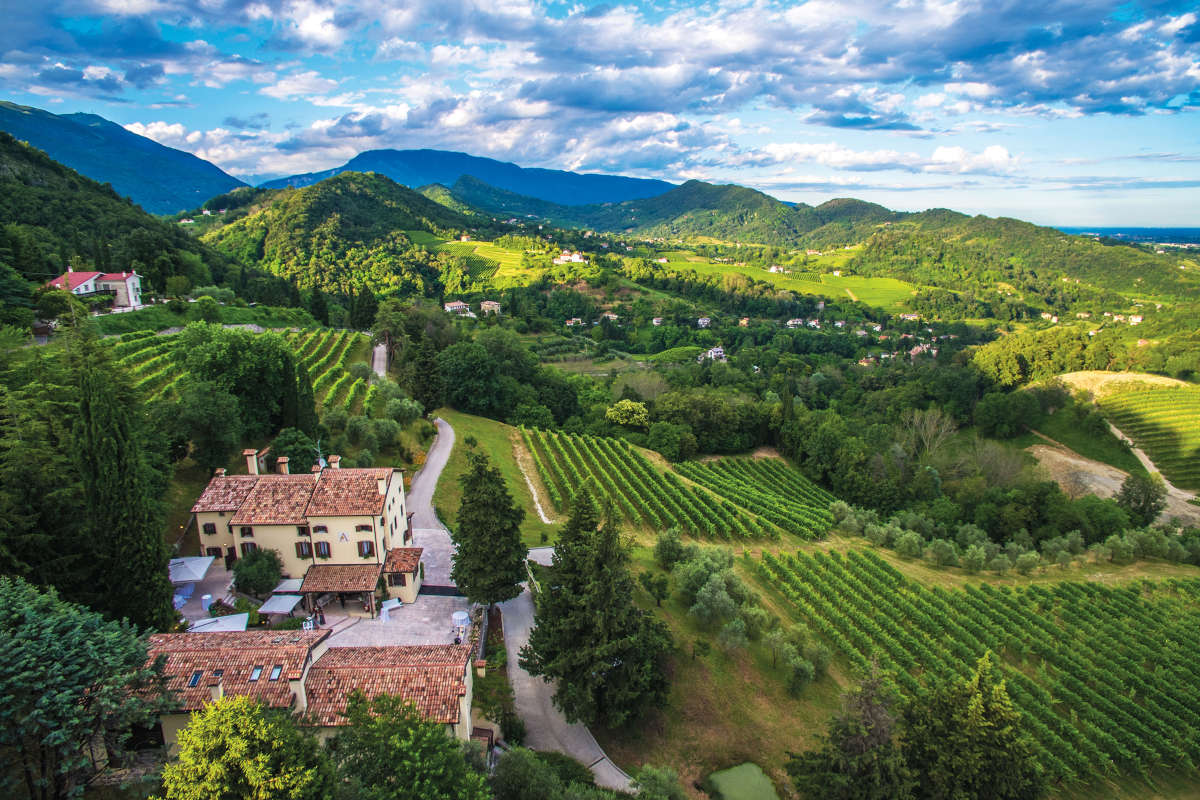 Tenuta Ville d'Arfanta Tenuta Ville d'Arfanta: enogastronomia e ospitalità tra le colline del Prosecco