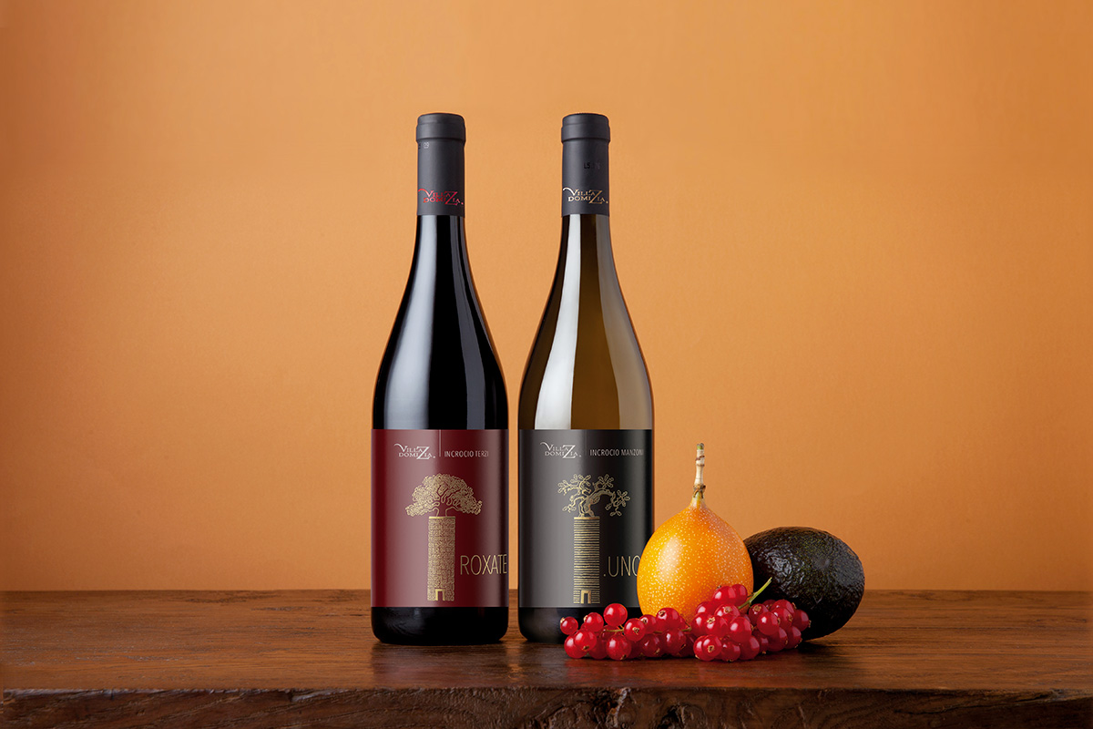 Villa Domizia: storia di una famiglia e di una visione nella Valcalepio