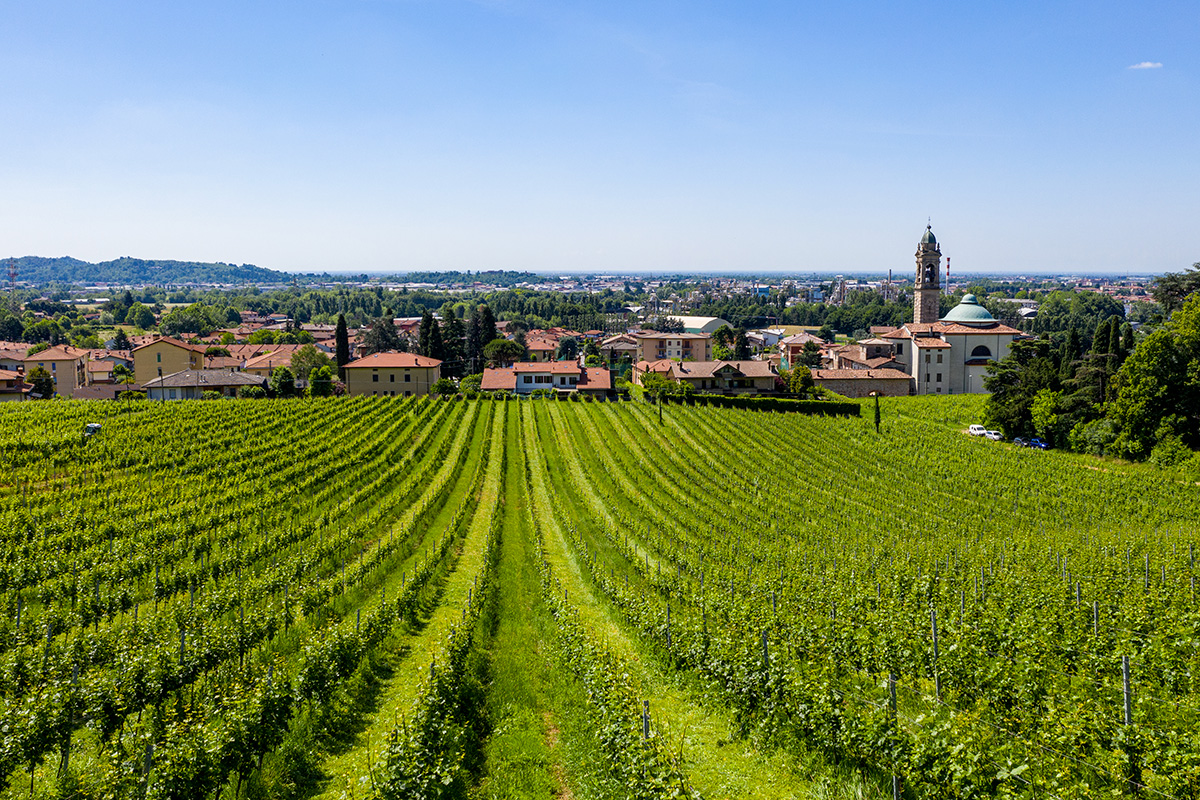 Villa Domizia: storia di una famiglia e di una visione nella Valcalepio