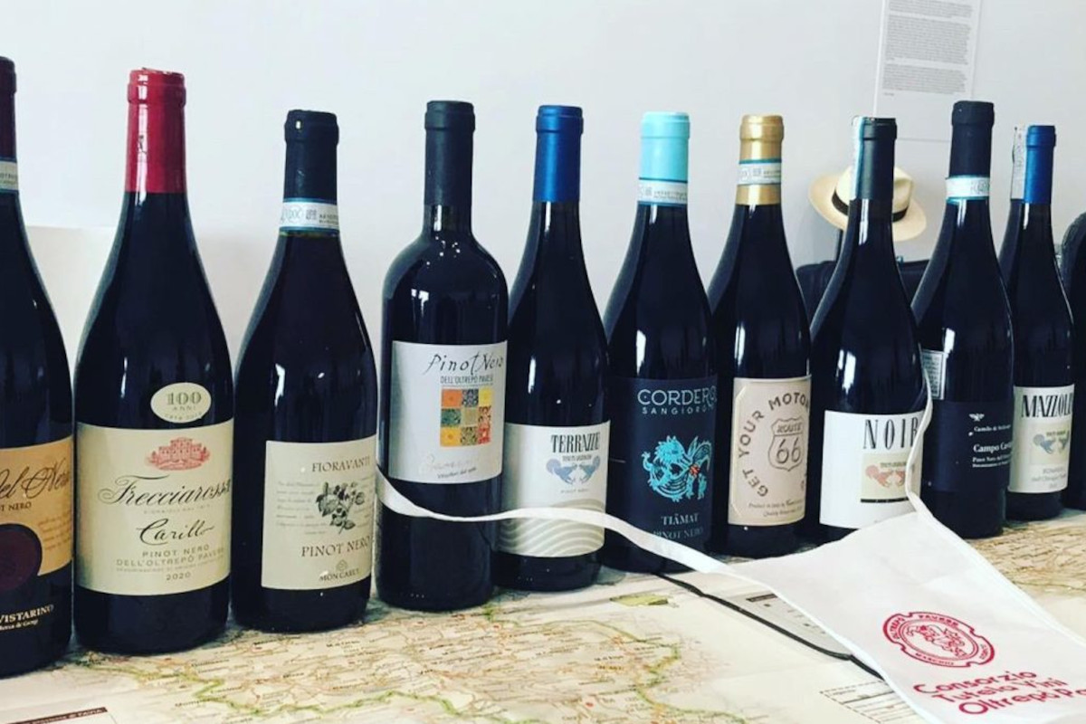 I vini dell'Oltrepò Pavese alla conquista degli Usa con Slow wine food I vini dell’Oltrepò Pavese conquistano gli Usa