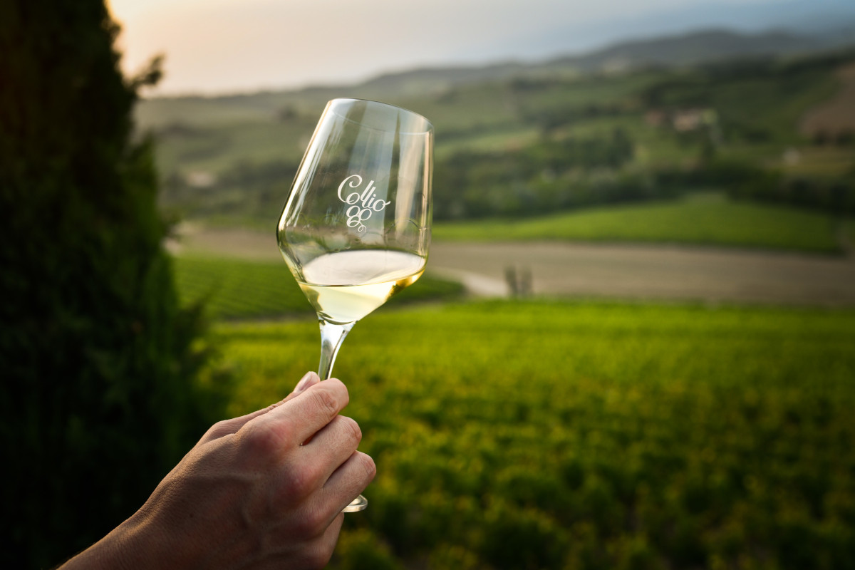 Vini Collio e i sommelier italiani di nuovo insieme: torna il Collio Day!