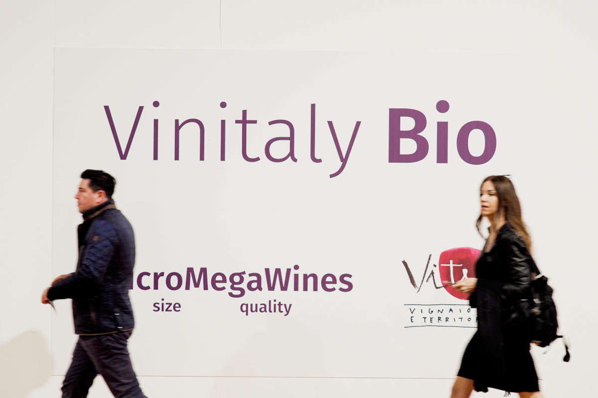 Vinitaly, cresce l'attesa. Nel 2024 successo espositivo e crescita internazionale